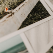 Close shot of slightly out of focus photographs