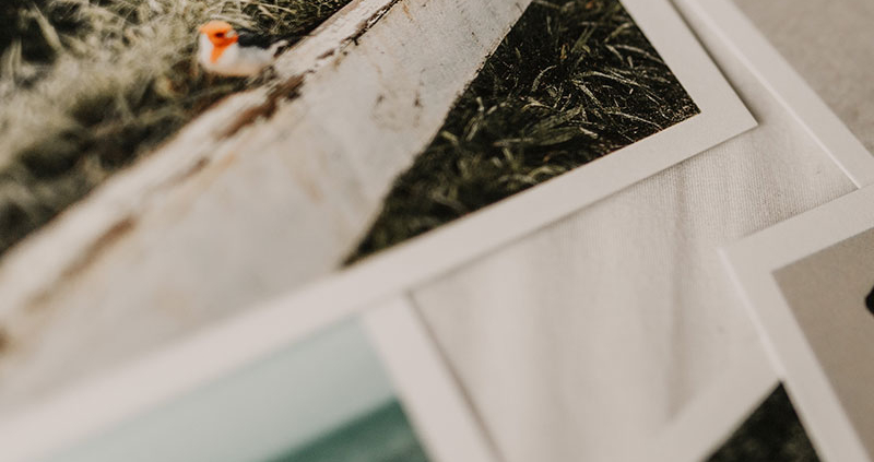 Close shot of slightly out of focus photographs