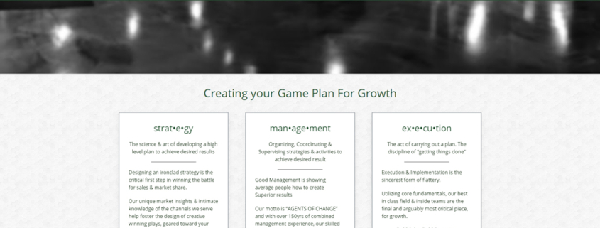 Custom Trustdyx website design for Front Row Sales & Marketing home page in Bloomington, MN