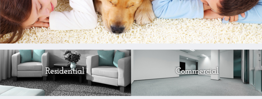 Custom Trustdyx website design for My Trusted Carpet Cleaner home page in Ham Lake, MN