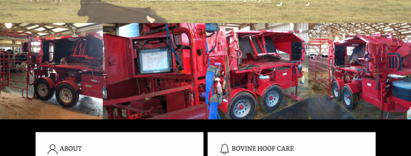 Custom Trustdyx website design for Justin Addy Bovine Care home page in Sartell, MN