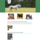 Custom WordPress website design for MN Hooved Animal Rescue home page in Zimmerman, MN