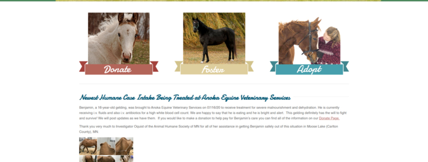 Custom WordPress website design for MN Hooved Animal Rescue home page in Zimmerman, MN