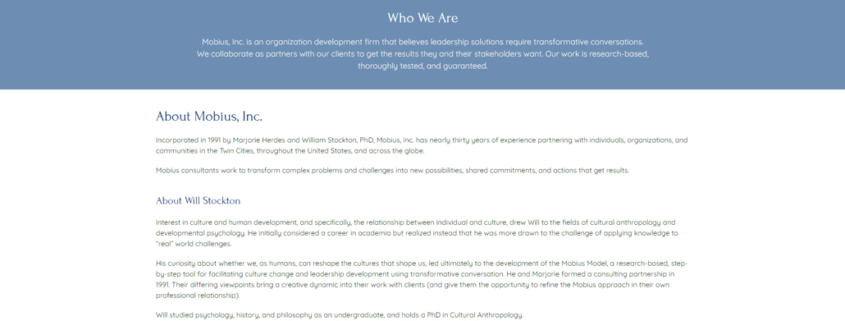 Custom Trustdyx website design for Mobius Inc home page in Minnesota