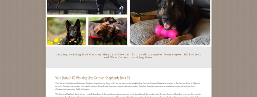 Custom Trustdyx website design for Vom Banach K9 home page in Port Orchard, WA