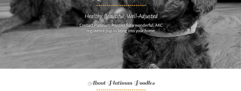 Custom Trustdyx website design for Platinum Poodles home page in St. Augusta, MN