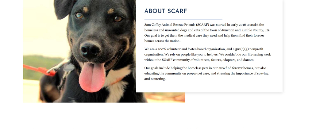 SCARF Website redesign