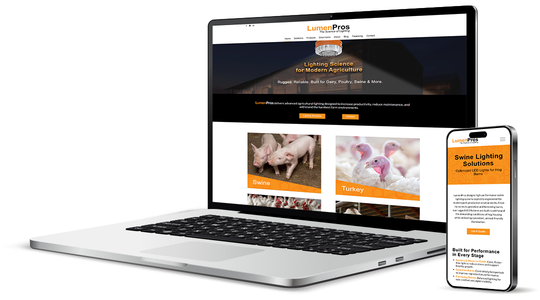 LumenPros Lumen Pros website shown on laptop and mobile